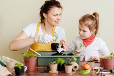 Mother educating daughter transplanting sprouts with tools clipart