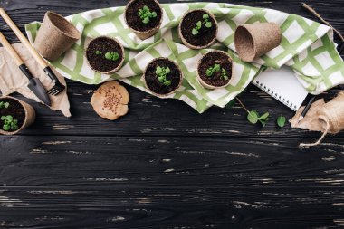 Havlu, Çiçeklik, yeşil lahanası, kürek, Komisyon ile kompozisyon Bahçe, siyah ahşap zemin üzerine ahşap, kalem, defter, iş parçacığı ve kağıt parçaları testereyle