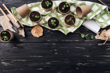 Havlu, Çiçeklik, yeşil lahanası, kürek, Komisyon ile kompozisyon Bahçe, siyah ahşap zemin üzerine ahşap, kalem, defter, iş parçacığı ve kağıt parçaları testereyle