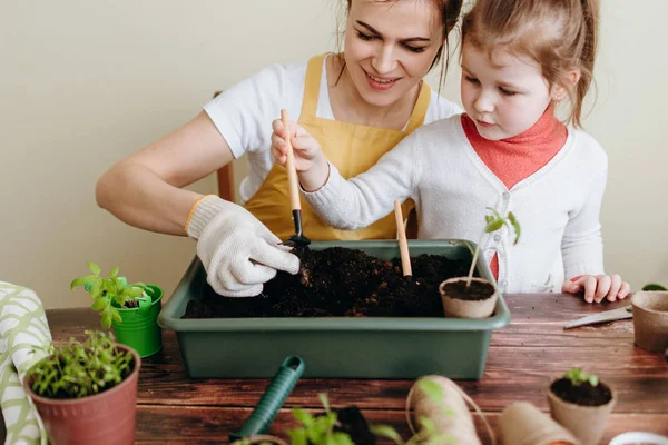 Moeder Knuffelen Opleiden Van Dochter Transplanteren Spruiten Met Hulpmiddelen — Stockfoto