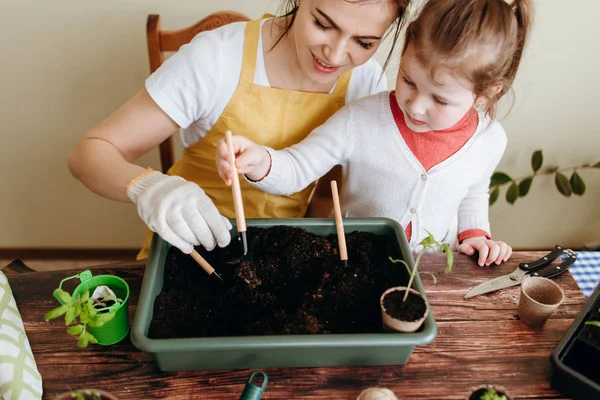 Moeder Knuffelen Opleiden Van Dochter Transplanteren Spruiten Met Hulpmiddelen — Stockfoto