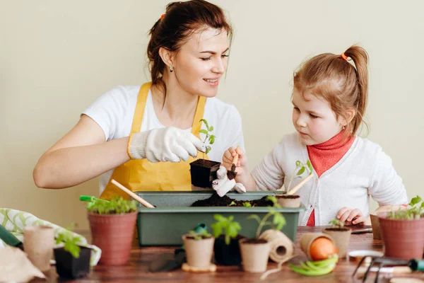 Moeder Opvoeden Dochter Verplanten Spruiten Met Hulpmiddelen — Stockfoto