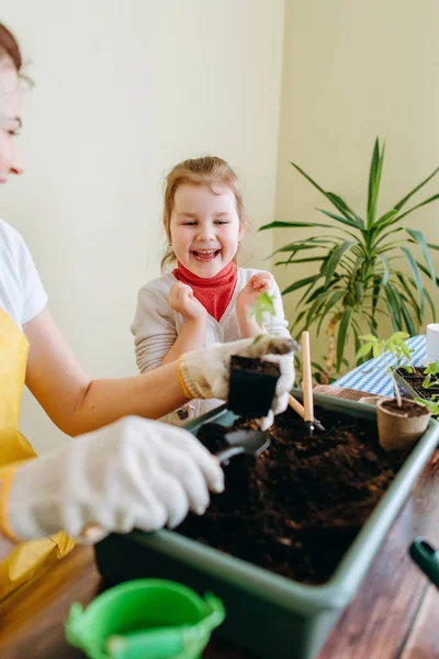 Klein Meisje Bewonderen Laugting Terwijl Moeder Verplanten Groene Sprout Achtergrond — Stockfoto