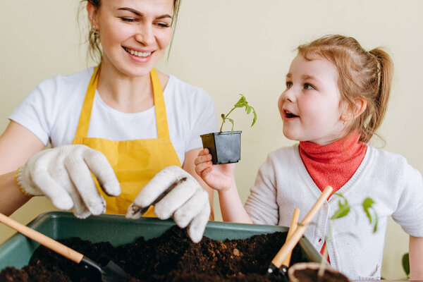 Front view of little girl shoving green sprout in vase to mother on background with gardening tools