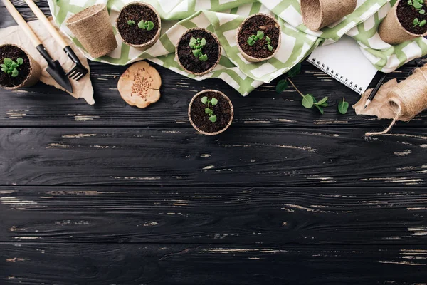 Composición Jardinería Con Toalla Macetas Brotes Verdes Pala Rastrillo Madera — Foto de Stock