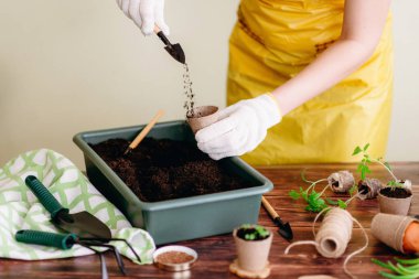 Tencerede beyaz eldiven fillind boş toprak ile eller görünümünü Bahçe aletleri zemin üzerine kırpılmış