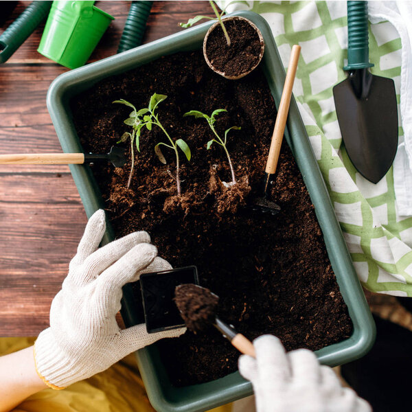 Cropped view of female hands filling vase with soil on background with ground tray and tools