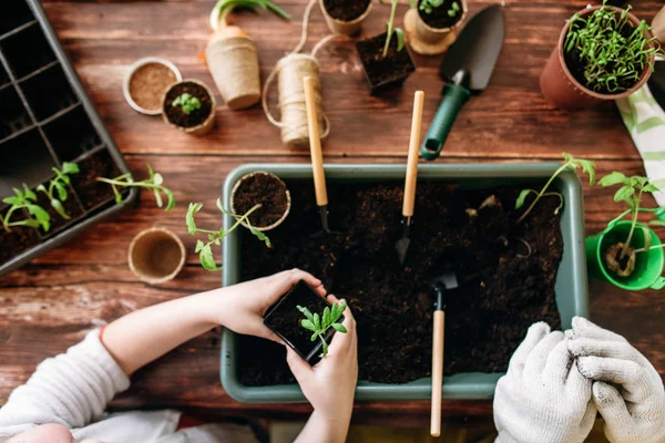 Vue Recadrée Mère Avec Petite Fille Transplantant Germe Dans Vase — Photo