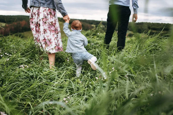 Rear View Family Walking Green Grass — Stock Photo, Image