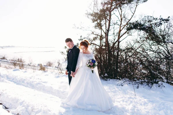 Menyasszony Vőlegény Gyaloglás Rét Tárolás Kezek Ban Téli Napon — Stock Fotó