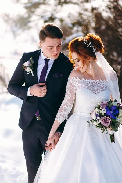 Novia Con Novio Caminando Por Prado Tomados Mano Día Invierno —  Fotos de Stock