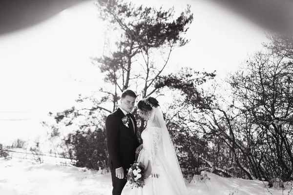 Casamentos Românticos Abraçando Fora Dia Inverno — Fotografia de Stock