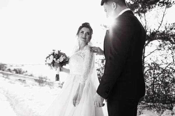 Bonitos Recém Casados Desfrutando Tempo Juntos Fora Dia Inverno — Fotografia de Stock