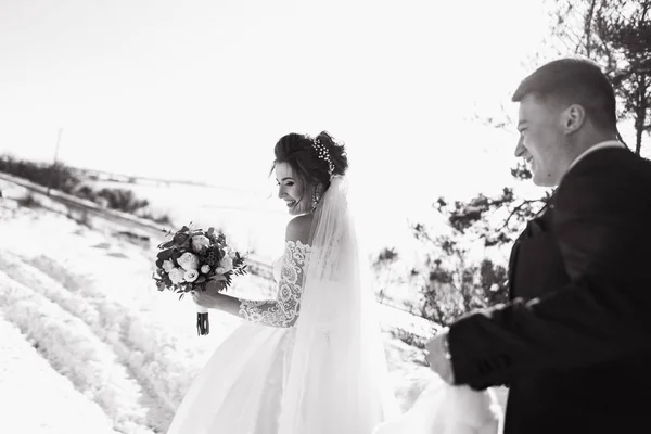 Braut Mit Bräutigam Spazieren Über Die Wiese Und Haben Spaß — Stockfoto