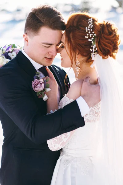 Romantic Newlyweds Hugging Winter Day — Stock Photo, Image