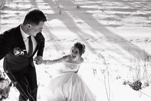 Braut Mit Bräutigam Auf Der Wiese Und Händchen Haltend Wintertag — Stockfoto