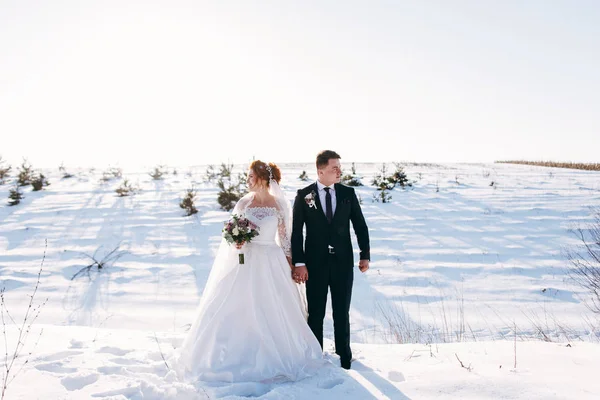 Bruden Med Brudgummen Walking Äng Och Håller Händer Vinterdag — Stockfoto