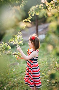 Çiçek açan elma şubesine seyir elbiseli kız yan görünüm