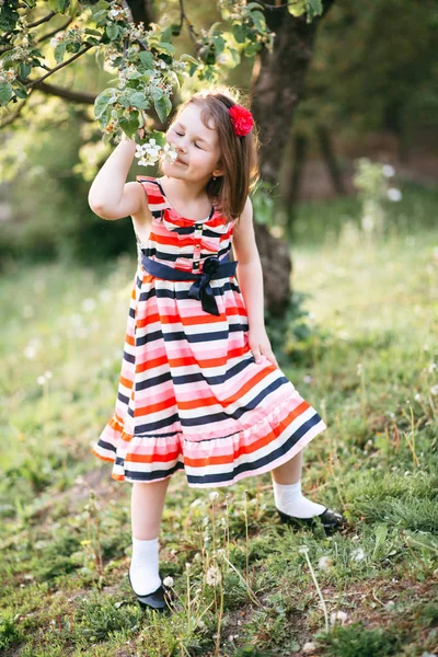 Menina Bonito Vestido Listrado Andando Jardim Primavera — Fotografia de Stock