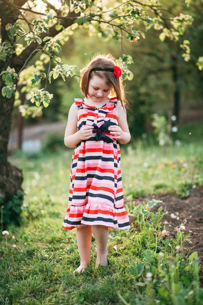 Pouco Bonito Menina Encadernação Arco Onn Vestido Jardim Florescendo — Fotografia de Stock