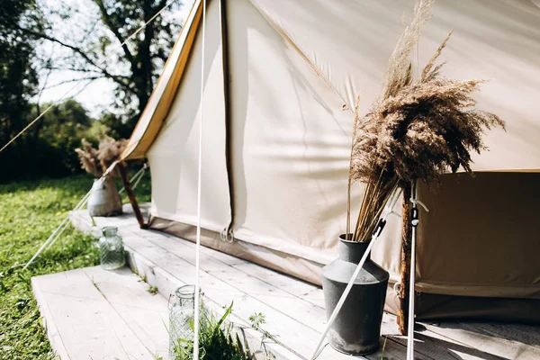 Festive tent with dried plants in vases. Holiday in forest.