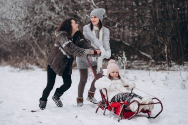 Aile kızağına binmek Kış parkında eğlenmek