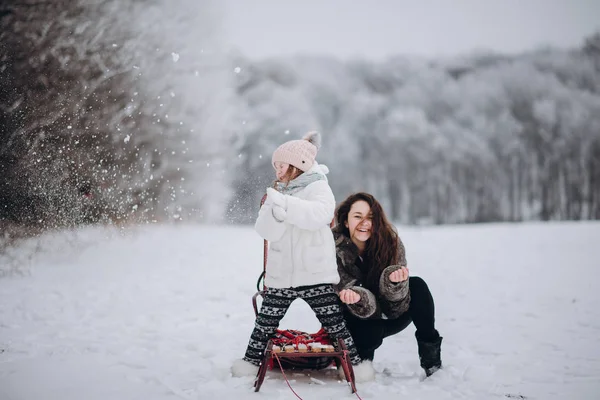 Irmãs Brincando Com Neve Livre — Fotografia de Stock