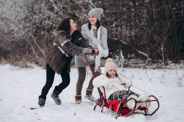 Família Andar Trenó Divertindo Parque Inverno — Fotografia de Stock