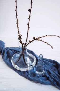 Mavi kumaş üzerine çeşitli bardaklarda bitkiler. Bahar hakkında sakin bir hayat. Çiçek tomurcukları. Yaşamın başlangıcı