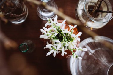 Masadaki cam kaplar arasında kil vazodaki kar damlaları. Bahar konsepti. İlk çiçekler. Durgun hayat