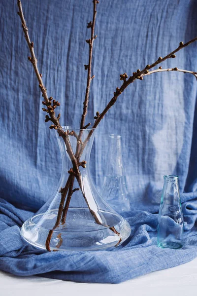 Las Plantas Los Vasos Distintos Sobre Tela Azul Naturaleza Muerta — Foto de Stock