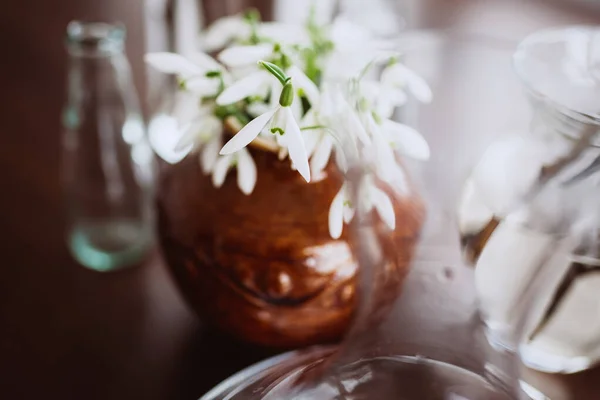 Snowdrops in a clay vase between glass containers on the table. Concept for spring. The first flowers. Still life
