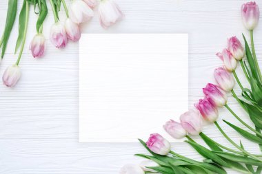 Beyaz ahşap arka planda pembe lalelerden yapılmış çiçek çerçevesi.