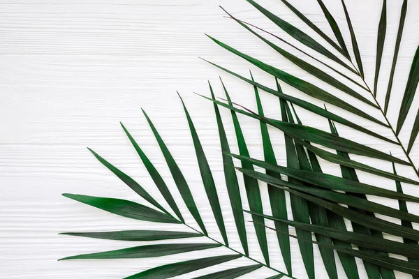 Зелене Листя Пальми Білому Дерев Яному Фоні Пробілом Копіювання — стокове фото