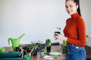 İçeriye fidanlar ekme, bahçe aletleri tutma kavramı. Küçük lahanalarla çalışan turuncu kazaklı kız.