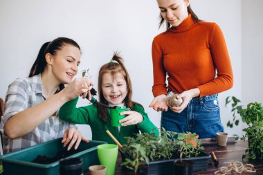 Anne ve kızlarından oluşan mutlu bir aile bahar mevsimi için tohum ekiyor küçük filizler ve bahçe aletleriyle çalışıyor.. 