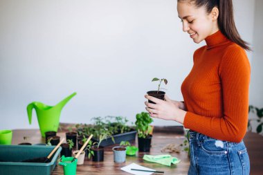 İçeriye fidanlar dikmek, bahçe aletleri tutmak. Küçük lahanalarla çalışan turuncu kazaklı kız.