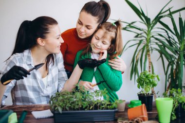 Anne kızlarına tohum ekmeyi öğretiyor. Masada küçük lahanalar ve bahçe aletleriyle çalışmak.