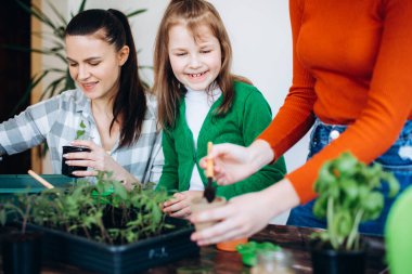 Anne kızlarına tohum ekmeyi öğretiyor. Masada küçük lahanalar ve bahçe aletleriyle çalışmak.