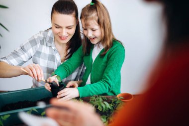 Evde fideleri eken kızları olan bir anne. Küçük filizler ve bahçe aletleriyle çalışmak