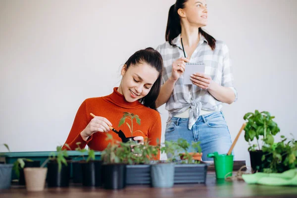 Mujer Con Niña Plantando Plántulas Interior Sosteniendo Herramientas Jardín — Foto de Stock