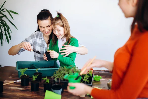 Familia Feliz Madre Hijas Plantando Plántulas Para Temporada Primavera Interiores — Foto de Stock