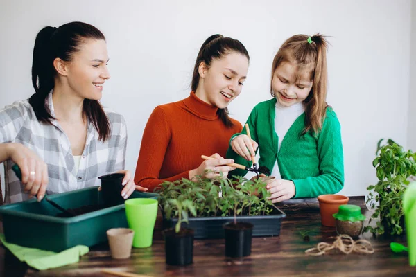 Familia Feliz Madre Hijas Plantando Plántulas Para Temporada Primavera Interiores — Foto de Stock
