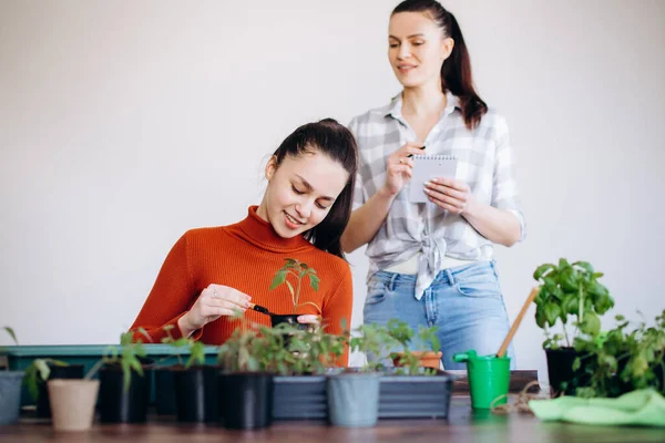 Mujer Con Niña Plantando Plántulas Interior Sosteniendo Herramientas Jardín — Foto de Stock