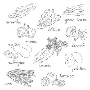 İzole elle çizilmiş resimler sebze, siyah set