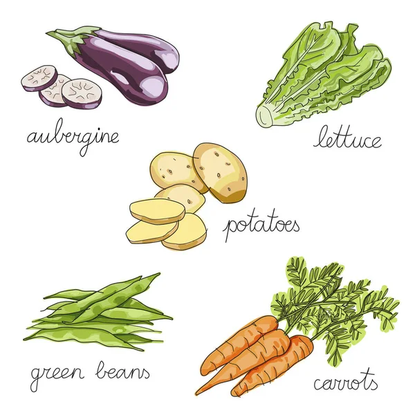 Set of hand drawn vegetables — Stock Vector