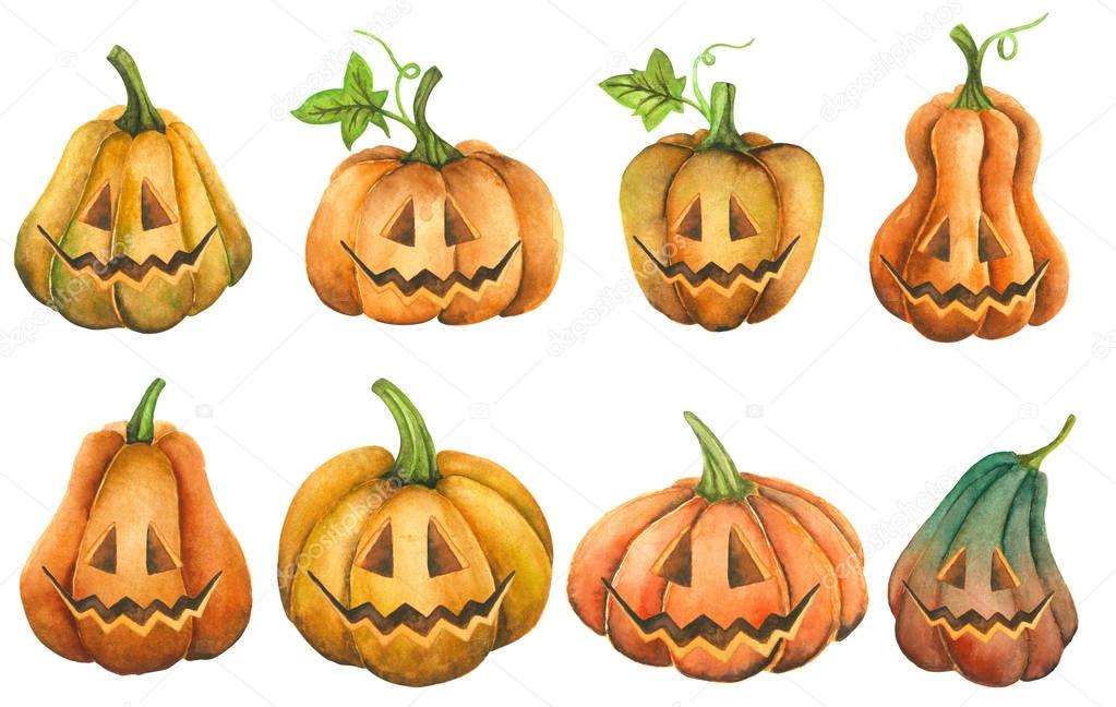 collection Pumpkins halloween watercolor illustration object clipart white background