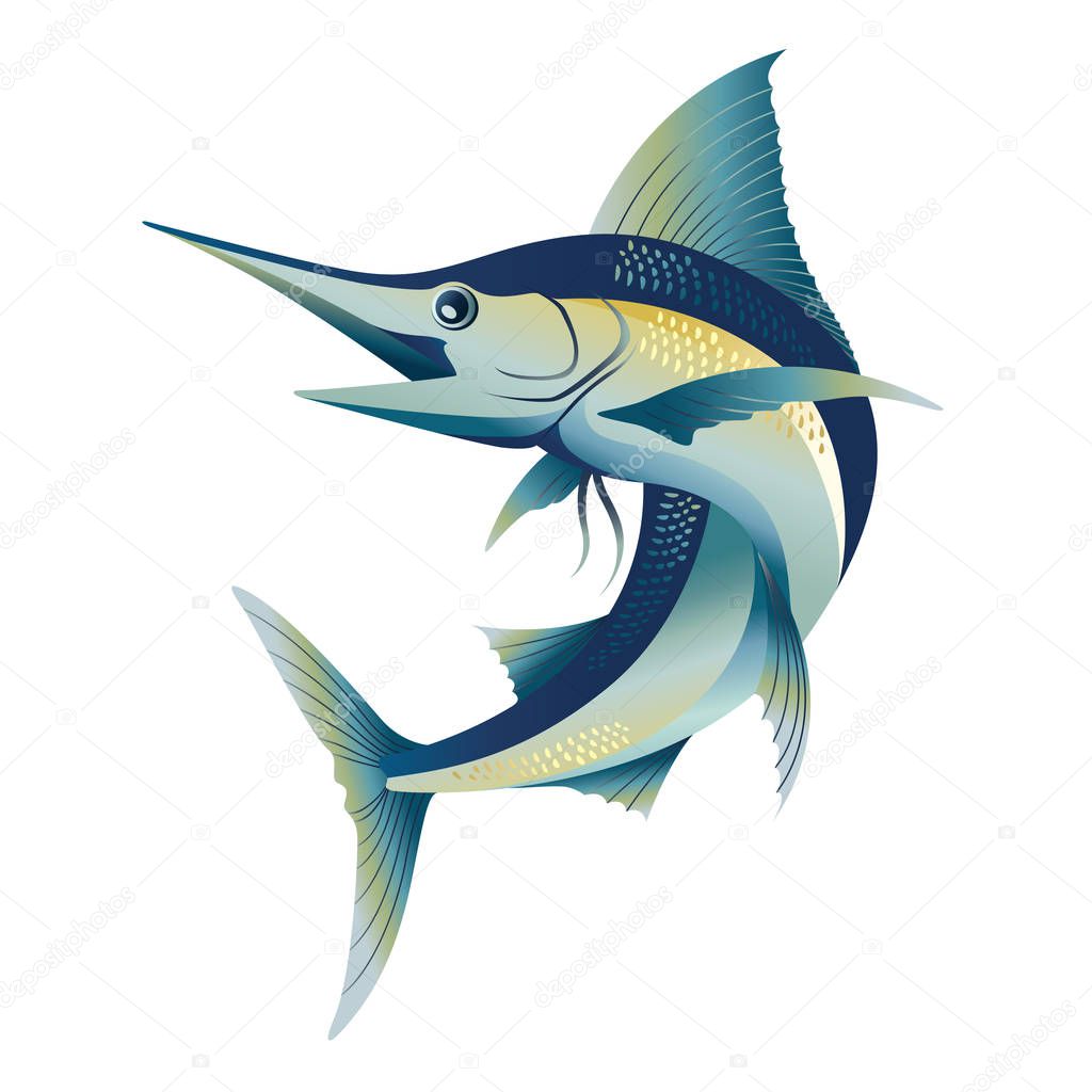 flying blue marlin sword sail fish vector illustration