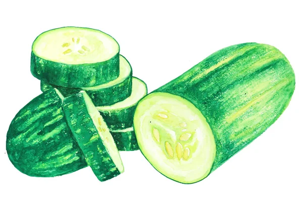 Ilustración Acuarela Pepino Variedad Verduras Orgánicas — Foto de Stock