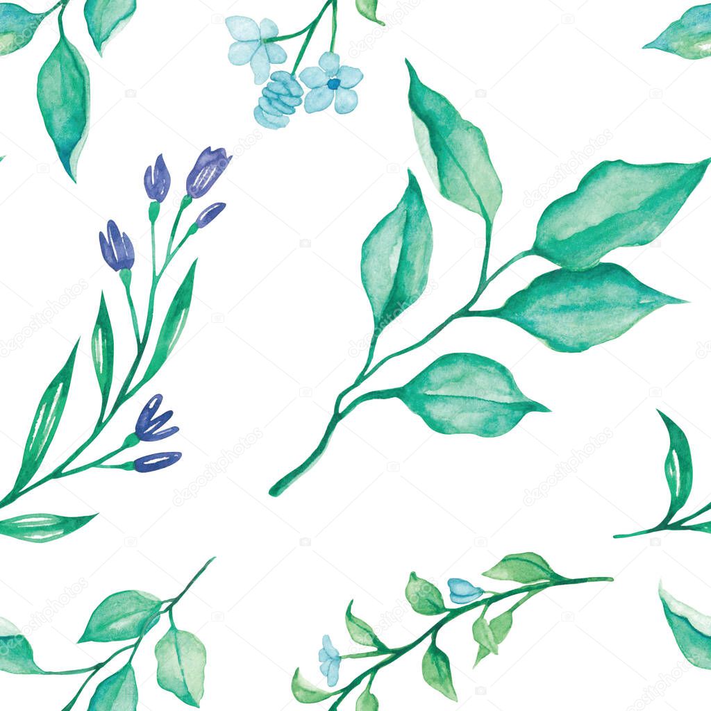 flower-leaves-and-ferns-pattern-hand-painted-watercolor-illustration-with-white-background